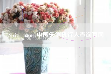 青州中国失信执行人查询官网