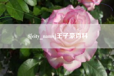 青州王子豪百科