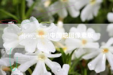 青州中国地图像素版