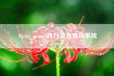 青州执行公告查询系统