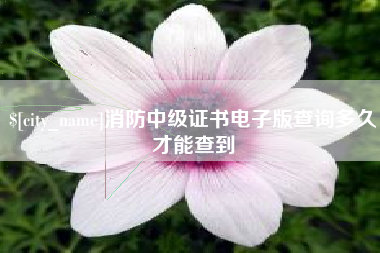 青州消防中级证书电子版查询多久才能查到