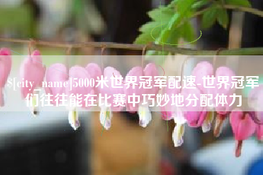 青州5000米世界冠军配速-世界冠军们往往能在比赛中巧妙地分配体力