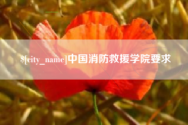 青州中国消防救援学院要求