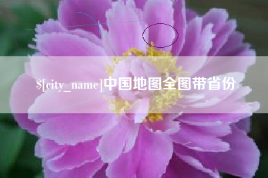 青州中国地图全图带省份