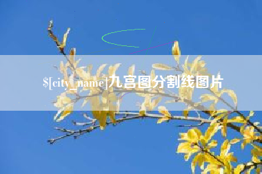 青州九宫图分割线图片