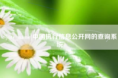 青州中国执行信息公开网的查询系统