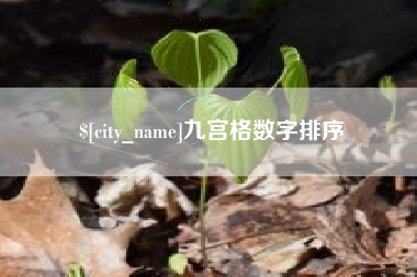 青州九宫格数字排序