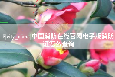 青州中国消防在线官网电子版消防证怎么查询