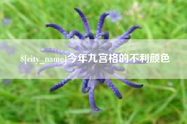 青州今年九宫格的不利颜色