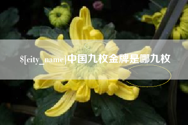 青州中国九枚金牌是哪九枚