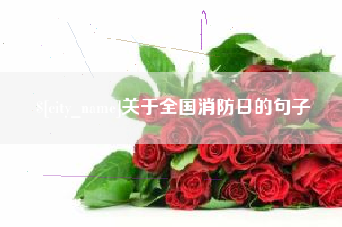 青州关于全国消防日的句子