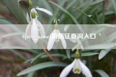 青州消防证查询入口