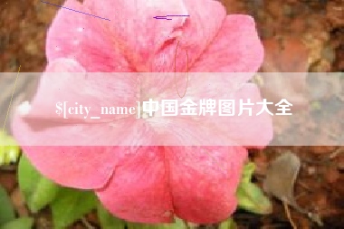 青州中国金牌图片大全