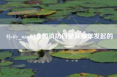 青州全国消防日是从哪年发起的