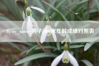 青州男子5000米年龄成绩对照表
