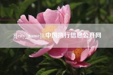 青州1.中国执行信息公开网
