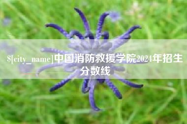 青州中国消防救援学院2024年招生分数线
