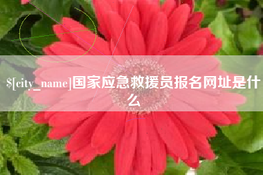 青州国家应急救援员报名网址是什么