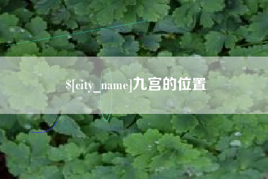 青州九宫的位置