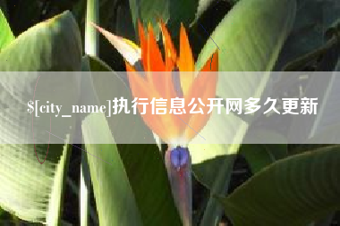 青州执行信息公开网多久更新