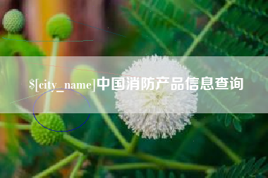 青州中国消防产品信息查询