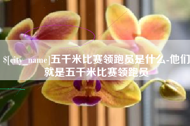 青州五千米比赛领跑员是什么-他们就是五千米比赛领跑员
