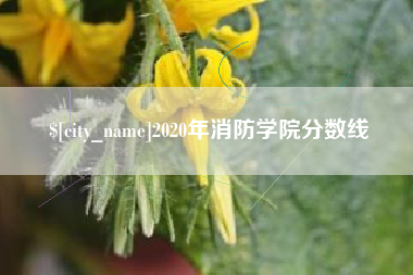 青州2020年消防学院分数线