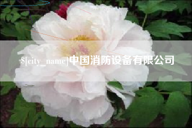 青州中国消防设备有限公司