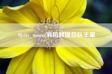 青州消防救援总队王星
