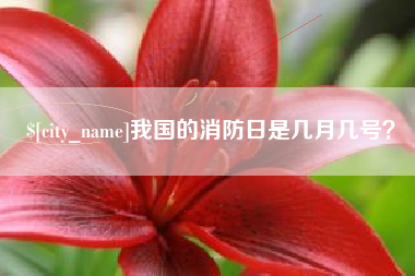 青州我国的消防日是几月几号？