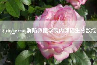 青州消防救援学院内部招生分数线