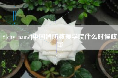 青州中国消防救援学院什么时候政审