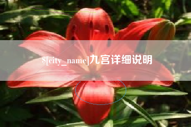 青州九宫详细说明