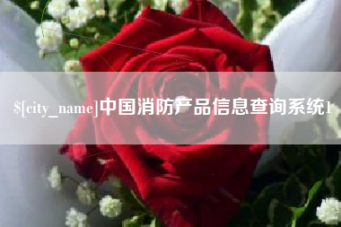 青州中国消防产品信息查询系统1