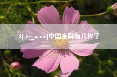 青州中国金牌有几枚了