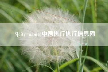 青州中国执行执行信息网