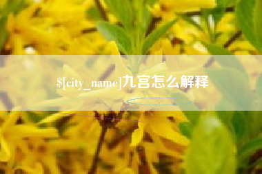 青州九宫怎么解释