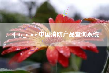 青州中国消防产品查询系统