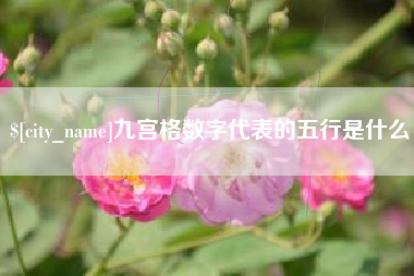 青州九宫格数字代表的五行是什么