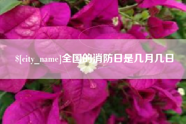 青州全国的消防日是几月几日