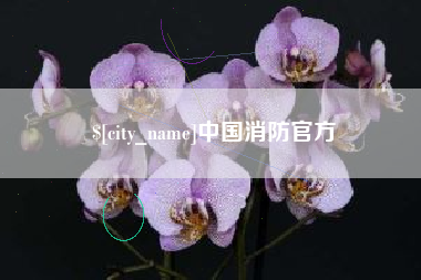青州中国消防官方