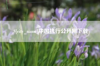青州中国执行公开网下载