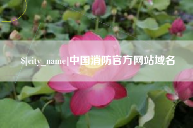 青州中国消防官方网站域名