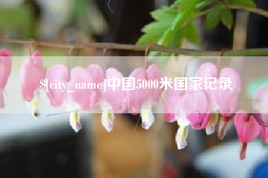 青州中国5000米国家记录