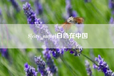 青州白色在中国