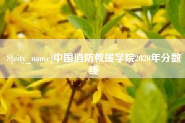 青州中国消防救援学院2020年分数线