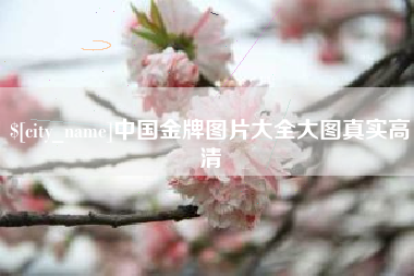 青州中国金牌图片大全大图真实高清