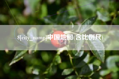 青州中国地图(含比例尺)