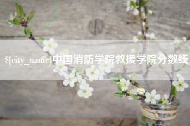 青州中国消防学院救援学院分数线