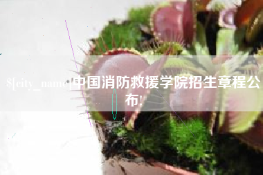 青州中国消防救援学院招生章程公布!